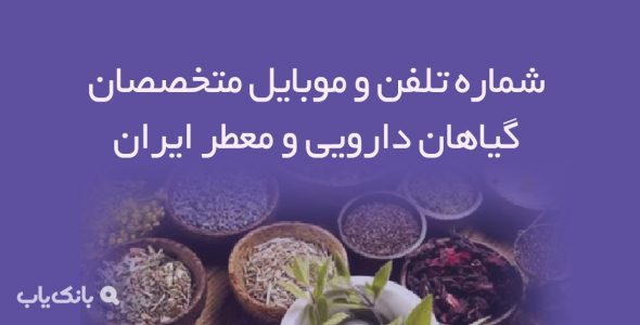 شماره تلفن و موبایل متخصصان گیاهان دارویی و معطر ایران