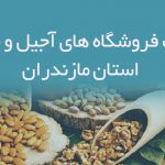 اطلاعات فروشگاه های آجیل و خشکبار استان مازندران
