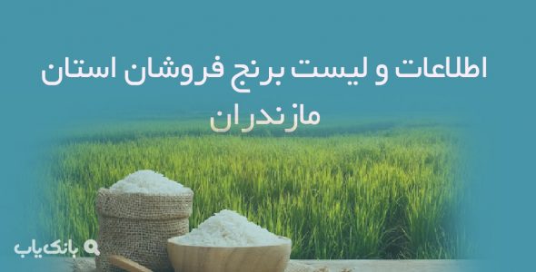 اطلاعات و لیست برنج فروشان استان مازندران