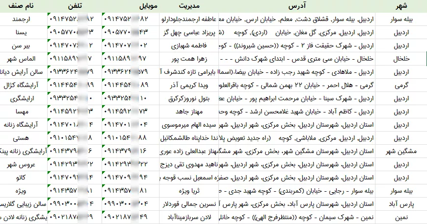 اطلاعات آرایشگاه زنانه اردبیل