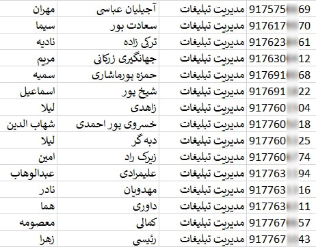 شماره تلفن و موبایل کارشناسان تبلیغات و بازاریابی ایران