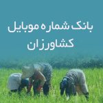 بانک شماره موبایل کشاورزان