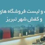 اطلاعات و لیست فروشگاه های کیف و کفش شهر تبریز