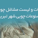 اطلاعات و لیست مشاغل چوب و مصنوعات چوبی شهر تبریز