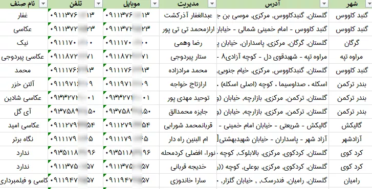 اطلاعات آتلیه عکاسی گلستان
