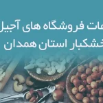 اطلاعات فروشگاه های آجیل و خشکبار استان همدان