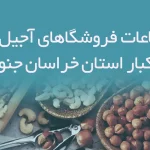 اطلاعات فروشگاهای آجیل و خشکبار استان خراسان جنوبی