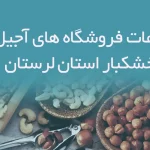 اطلاعات فروشگاه های آجیل و خشکبار استان لرستان