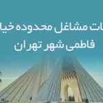 اطلاعات مشاغل محدوده خیابان فاطمی شهر تهران