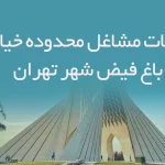 اطلاعات مشاغل محدوده خیابان باغ فیض شهر تهران