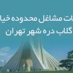 اطلاعات مشاغل محدوده خیابان گلاب دره شهر تهران