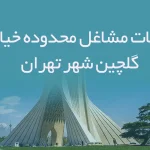 اطلاعات مشاغل محدوده خیابان گلچین شهر تهران