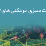اطلاعات سبزی خردکنی های تهران