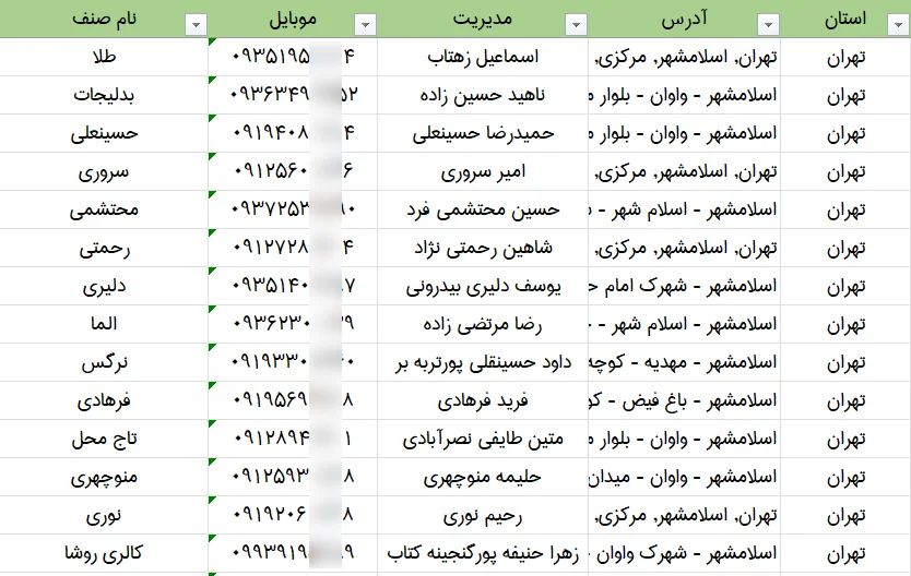 اطلاعات فروشندگان بدلیجات کشور