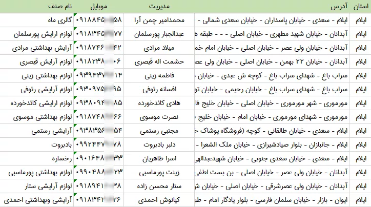 بانک اطلاعات آرایشی بهداشتی های ایلام