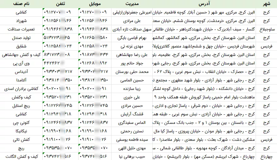 اطلاعات کفش فروشی های البرز