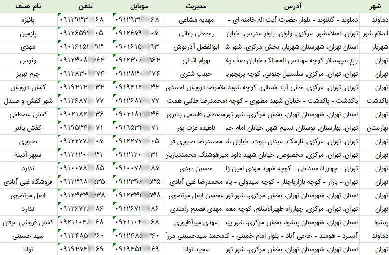 اطلاعات کفش فروشی تهران