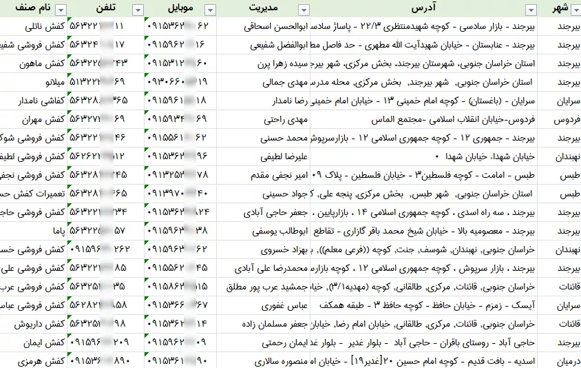 اطلاعات کفش فروشی خراسان جنوبی