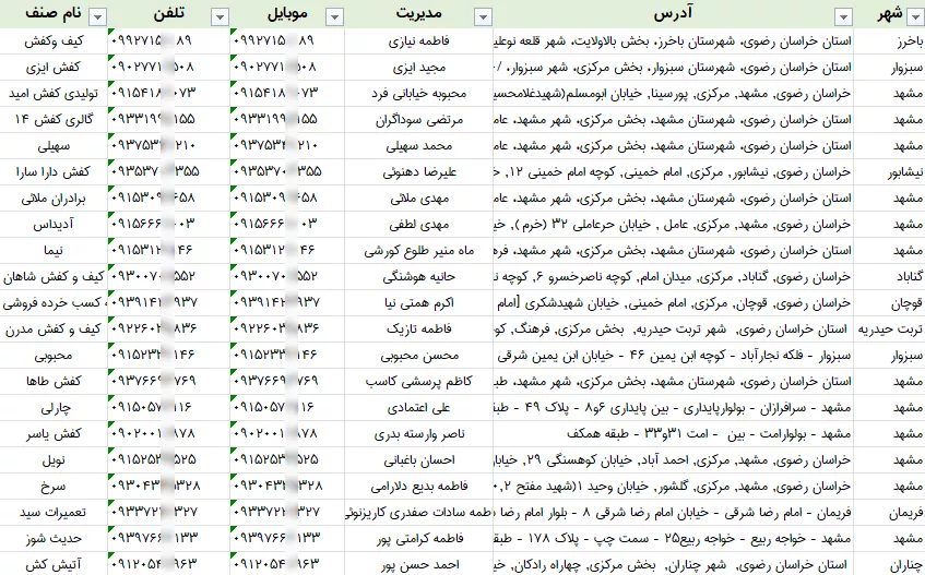 اطلاعات کفش فروشی خراسان رضوی