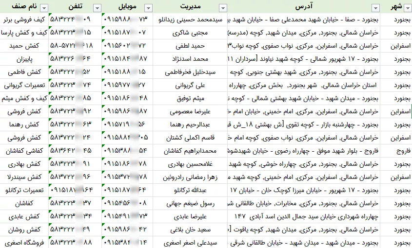 اطلاعات کفش فروشی خراسان شمالی