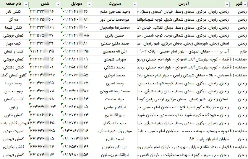 اطلاعات-کفش-فروش-زنجان