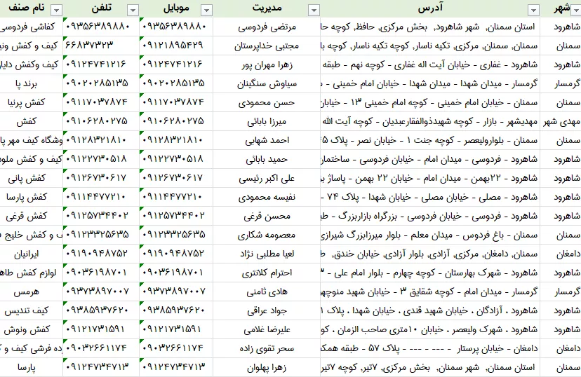 اطلاعات کفش فروشی سمنان