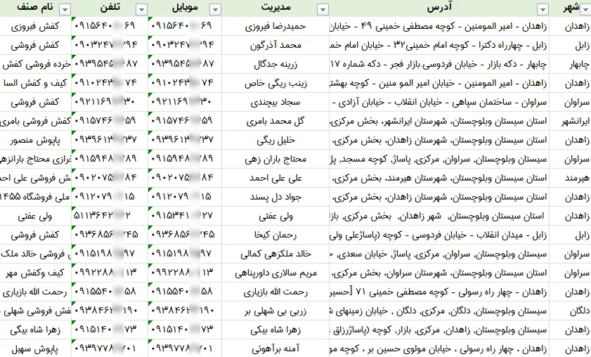 اطلاعات کفش فروشی سیستان بلوچستان