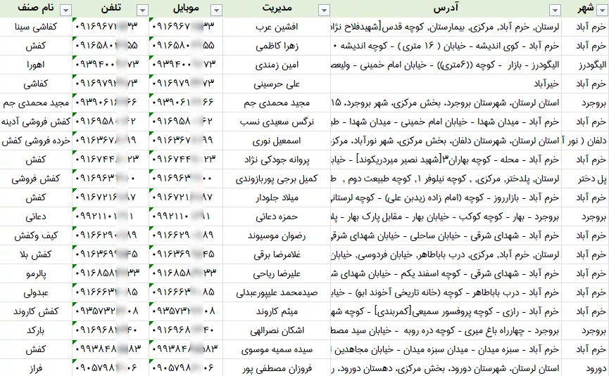 اطلاعات کفش فروشی لرستان