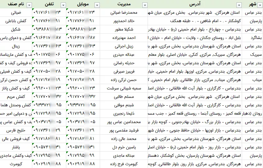 اطلاعات کفش فروشی هرمزگان