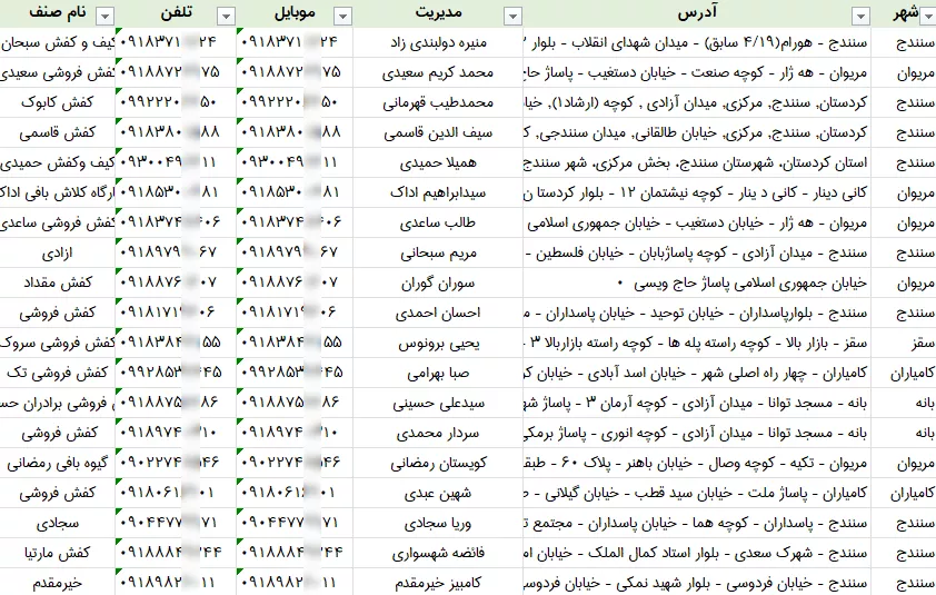 اطلاعات کفش فروشی کردستان