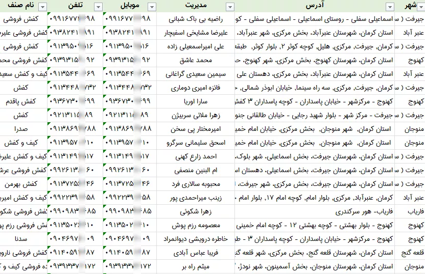 اطلاعات کفش فروشی کرمان