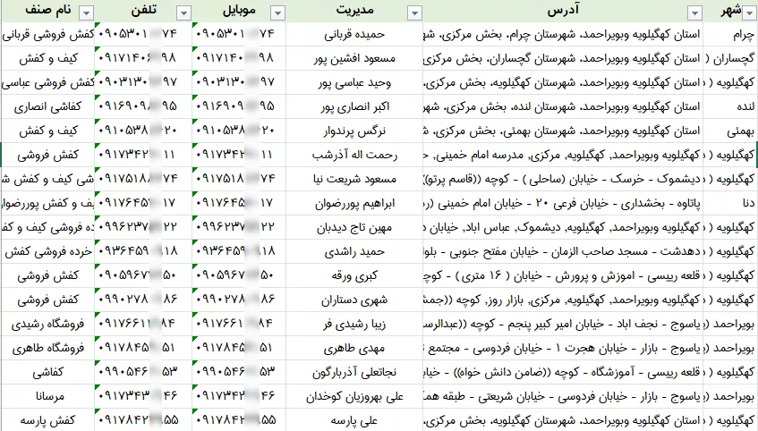 اطلاعات کفش فروشی کهگیلویه بویراحمد