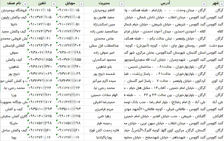 اطلاعات کفش فروشی گلستان