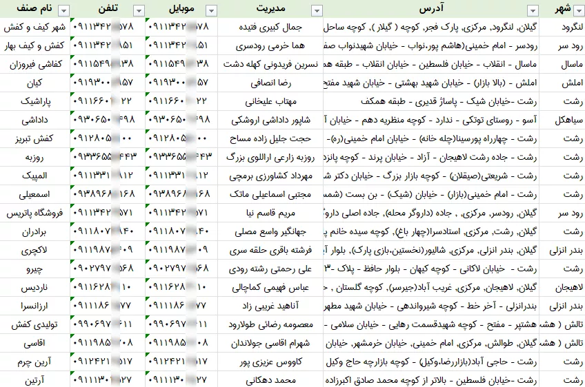 اطلاعات کفش فروشی گیلان
