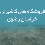 اطلاعات فروشگاه های کاشی و سرامیک خراسان رضوی