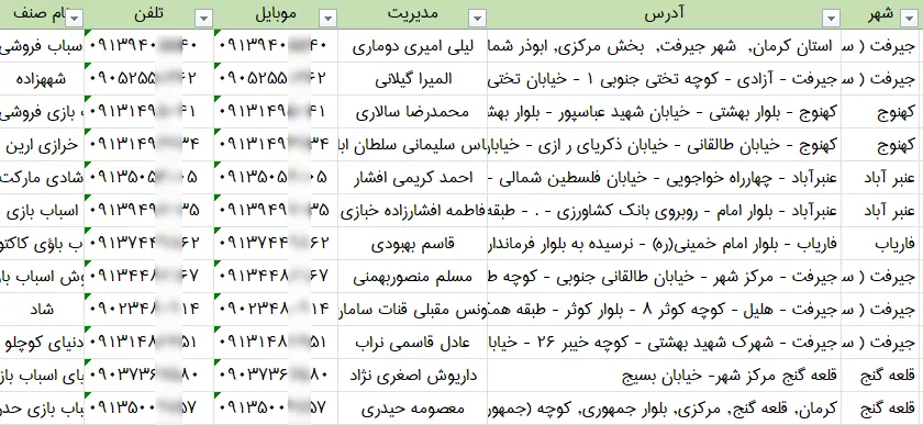 بانک اطلاعات اسباب بازی فروشی های استان کرمان