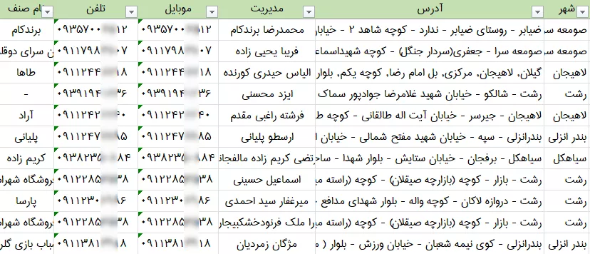 بانک اطلاعات اسباب بازی فروشی های استان گیلان