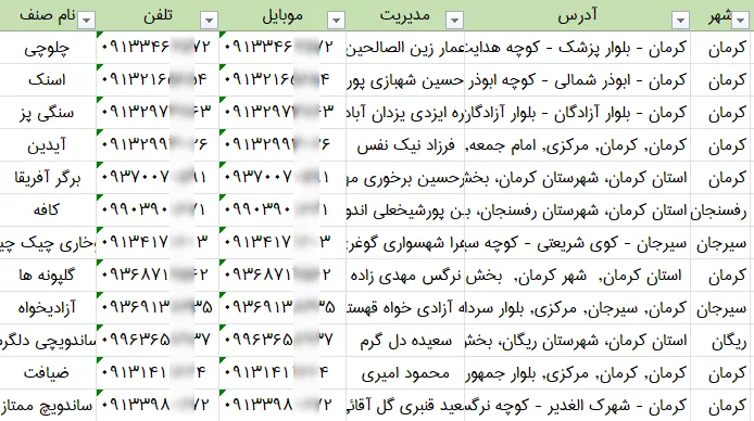 اطلاعات و لیست فست فودهای کرمان