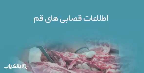 اطلاعات قصابی های قم