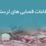 اطلاعات قصابی های لرستان