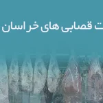 اطلاعات قصابی های خراسان جنوبی