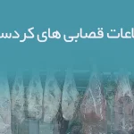 اطلاعات قصابی های کردستان