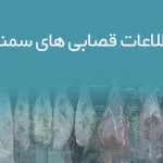 اطلاعات قصابی های سمنان