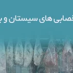 اطلاعات قصابی های سیستان و بلوچستان