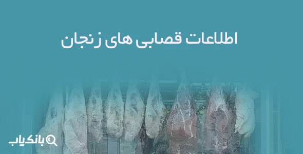 اطلاعات قصابی های زنجان