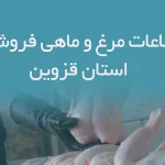 اطلاعات مرغ و ماهی فروشان استان قزوین