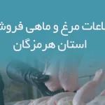 اطلاعات مرغ و ماهی فروشان استان هرمزگان