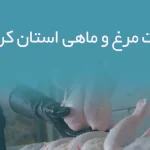 اطلاعات مرغ و ماهی استان کرمانشاه