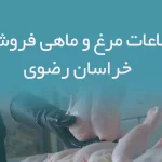 اطلاعات مرغ و ماهی فروشان خراسان رضوی