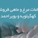 اطلاعات مرغ و ماهی فروشان استان کهگیلویه و بویراحمد